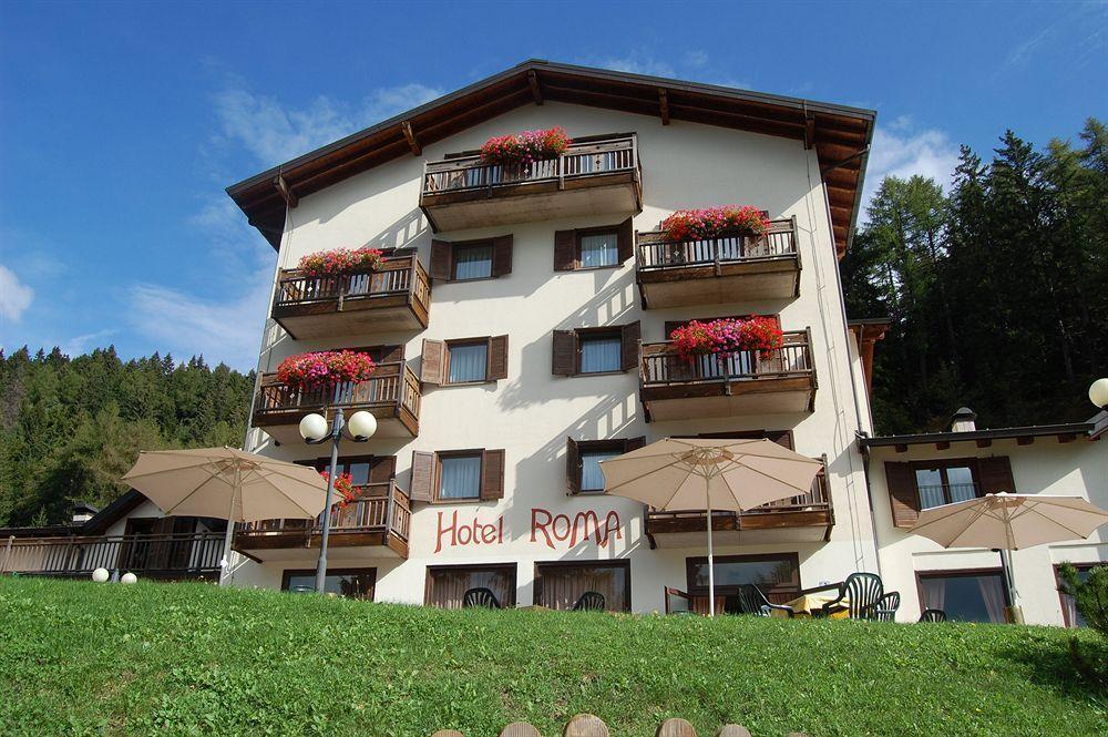 Hotel Rosa Wellness & Spa Виго-ди-Фасса Экстерьер фото
